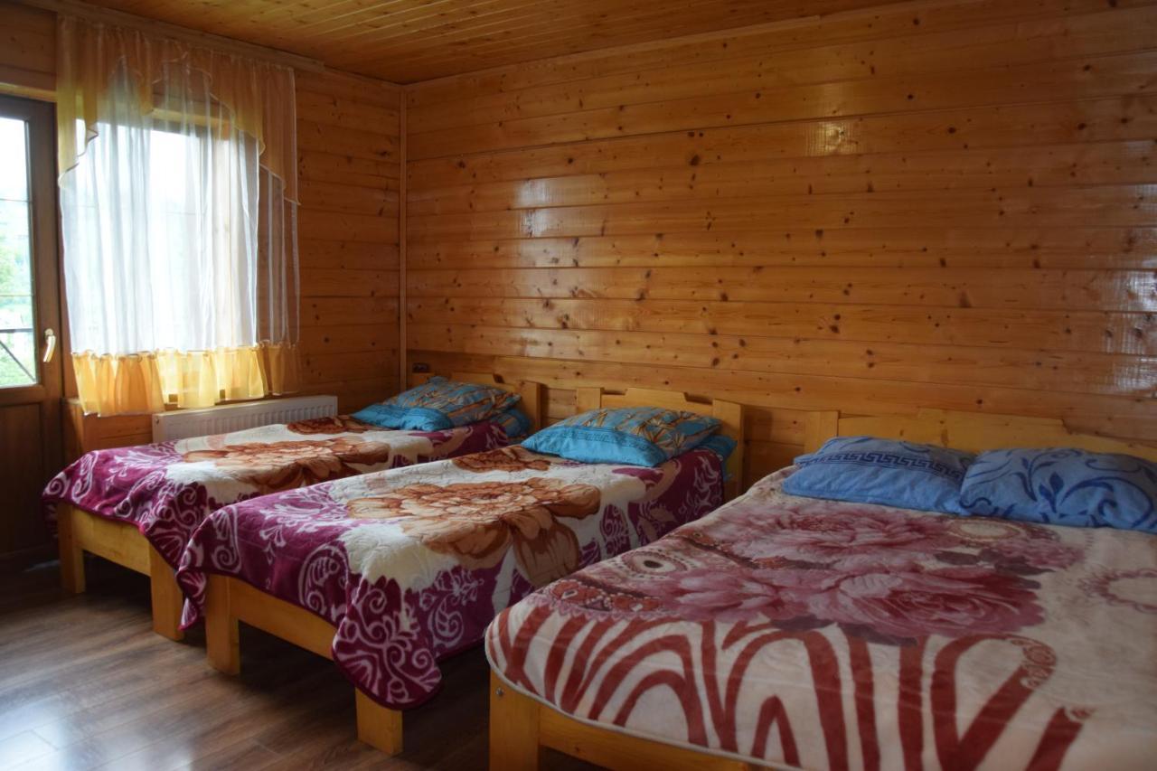 Аура Карпат Villa Slavske Dış mekan fotoğraf