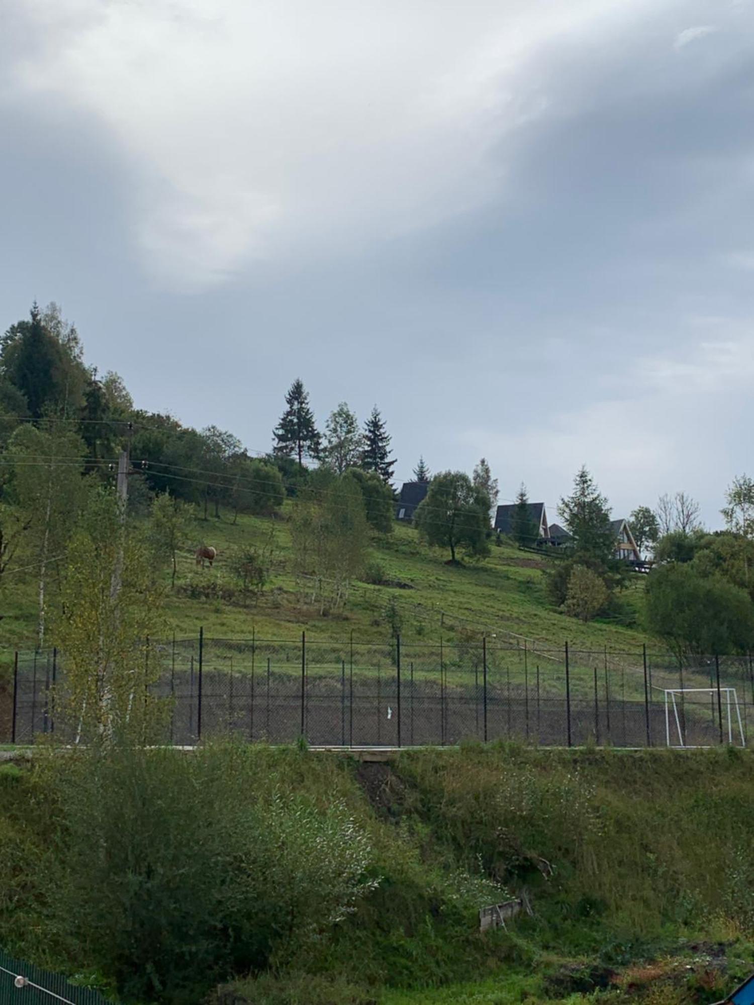 Аура Карпат Villa Slavske Dış mekan fotoğraf